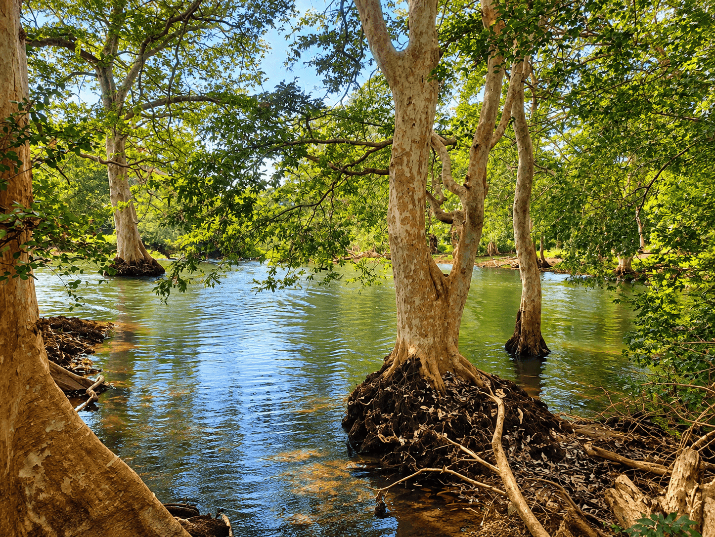 Hambegamuwa Lake - Sri Lanka Destination (2)